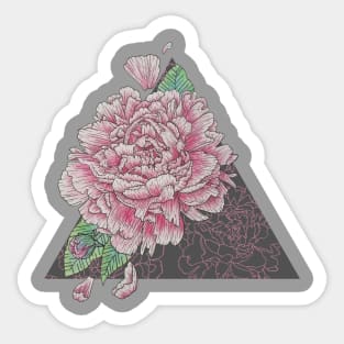 Pink Peony Floral Study, Illustrative Design Sticker
